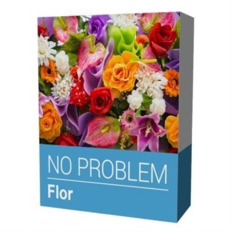 Software No Problem Flor